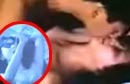 �����ằ��͸����Ƶ�ع�