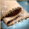 http://photocdn.sohu.com/20070402/Img227879175.jpg