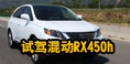 »ʿ Լ׿˹춯SUV RX450h